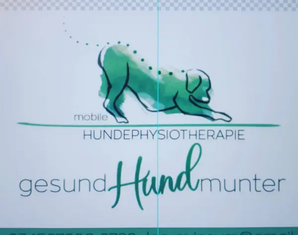 Gesund Hund munter