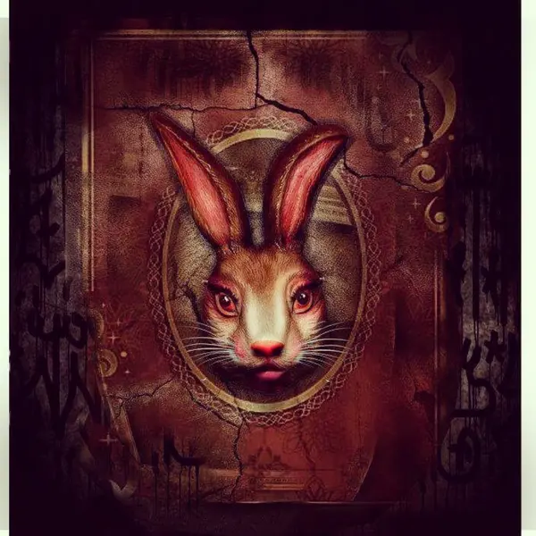 Rabbit