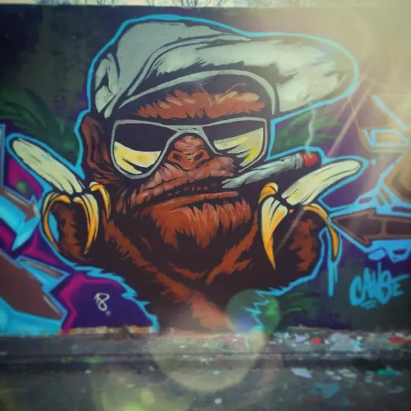 Ape